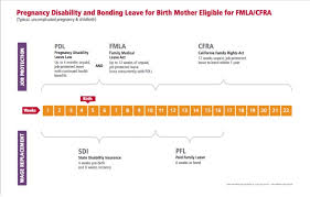 Fmla And Pfl In Ca H1b General Murthy Law Firm
