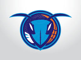 Over 26 hornets logo png images are found on vippng. Poll Ian Bakar S Charlotte Hornets Concept Vs Big Dub S Bring Back The Buzz Blog