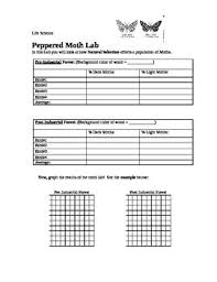 Prior knowledge questions (do these before using the gizmo.) sample answer: Peppered Moths Worksheets Teaching Resources Tpt