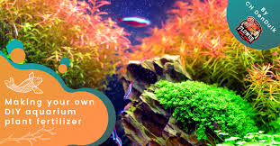 diy aquarium plant fertilizer