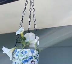 how to hang a plant from the ceiling