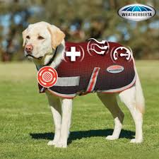 Weatherbeeta Therapy Tec Dog Coat