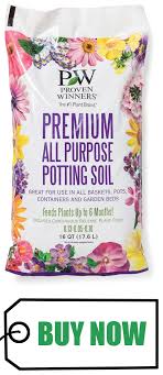 Best Potting Soil For Outdoor Potted