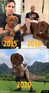 How old is messi dog. It S Not Dog Getting Bigger It S Messi Getting Smaller 9gag