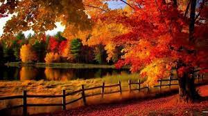fall wallpaper background images hd