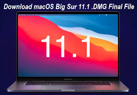 The last version supported by 10.9.5 was 49.0. Download Macos Big Sur 11 1 Dmg Final Installer Without App Store