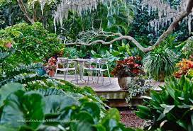 A Subtropical Garden In Sarasota