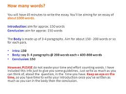    Infographics That Will Teach You How To Write An Essay Like a     How many paragraphs in an essay 