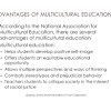 The Advantages of Multicultural Education