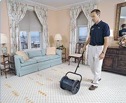 host host dry carpet cleaning and