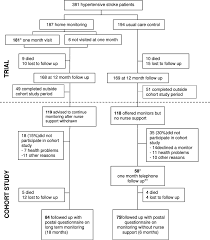 Flow Chart For A 6 Month Cohort Study Following A 12 Month