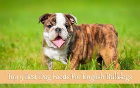 Let's take a closer look at why. Top 5 Best Dog Foods For English Bulldogs Buyer S Guide 2017