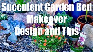succulent garden bed makeover design