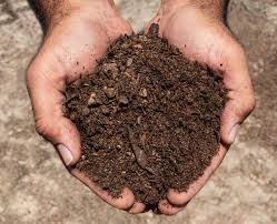 san antonio garden soil new earth compost