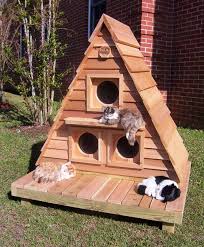 30 Best Diy Outdoor Cat House Plans
