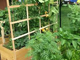 How To Build A Garden Trellis Sunday