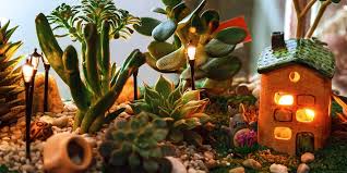 Miniature Garden Indoors