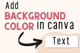 a text box with color in canva easy