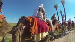 I've ridden horses and camels before, but only a couple of times. Camel Ride Marrakech Activities Marrakech Tours
