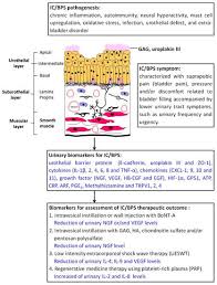urinary biomarkers in intersial