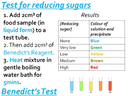 Test For Reducing Sugars Benedicts Test Essay College Paper