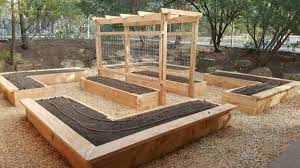 Raised Bed Vegetable Garden Experts