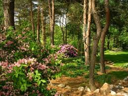 Michigan Wooded Garden Garden Design