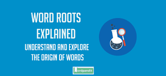 ambi root word wordpandit