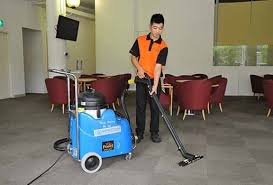 professional cleaner singapore