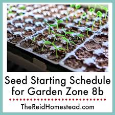 vegetable seeds in garden zone 8b
