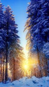 winter sunrise snow sun trees hd