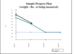 Sample Progress Plan In The Gantt Chart Used As Our Example