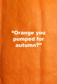 70 Best Pumpkin Quotes And Puns