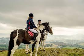 dublin to wicklow horseback riding and
