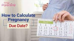 calculate your pregnancy due date