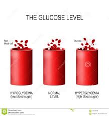 Glucose In The Blood Vessel Stock Vector Illustration Of