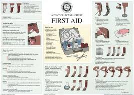 Horse First Aid Wall Chart The Pony Club Horse Care