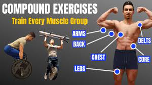 top 5 compound exercises for beginners