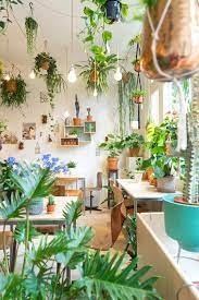 houseplants indoor room with plants