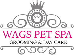 Vara arrived on time and here mobile van was high tech and immaculate! Dog Groomer Willenhall Wags Pet Spa Dog Grooming Salon Willenhall Wolverhampton