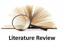 Literature Review Outline  Useful Tips and a Brilliant Template Amazon com