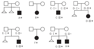 Pedigree Chart Of All Families Solid Symbols Represent
