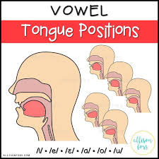 Vowel Tongue Positions Clip Art Speech Language Therapy