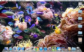 desktop aquarium wallpapers on the mac