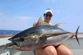 yellowfin tuna techniques part iii