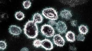 Sars is an airborne virus, which means it's spread in a similar way to colds and flu. Covid 19 Synthetic Virus Could Parasitize Sars Cov 2