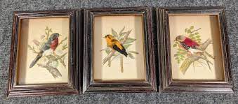 birds real feathers 3d shadow box