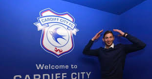 Image result for emiliano sala