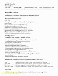 Killer Resume Templates Archives Spacelawyer Co New Resume