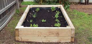 diy vegetable garden box home hardware